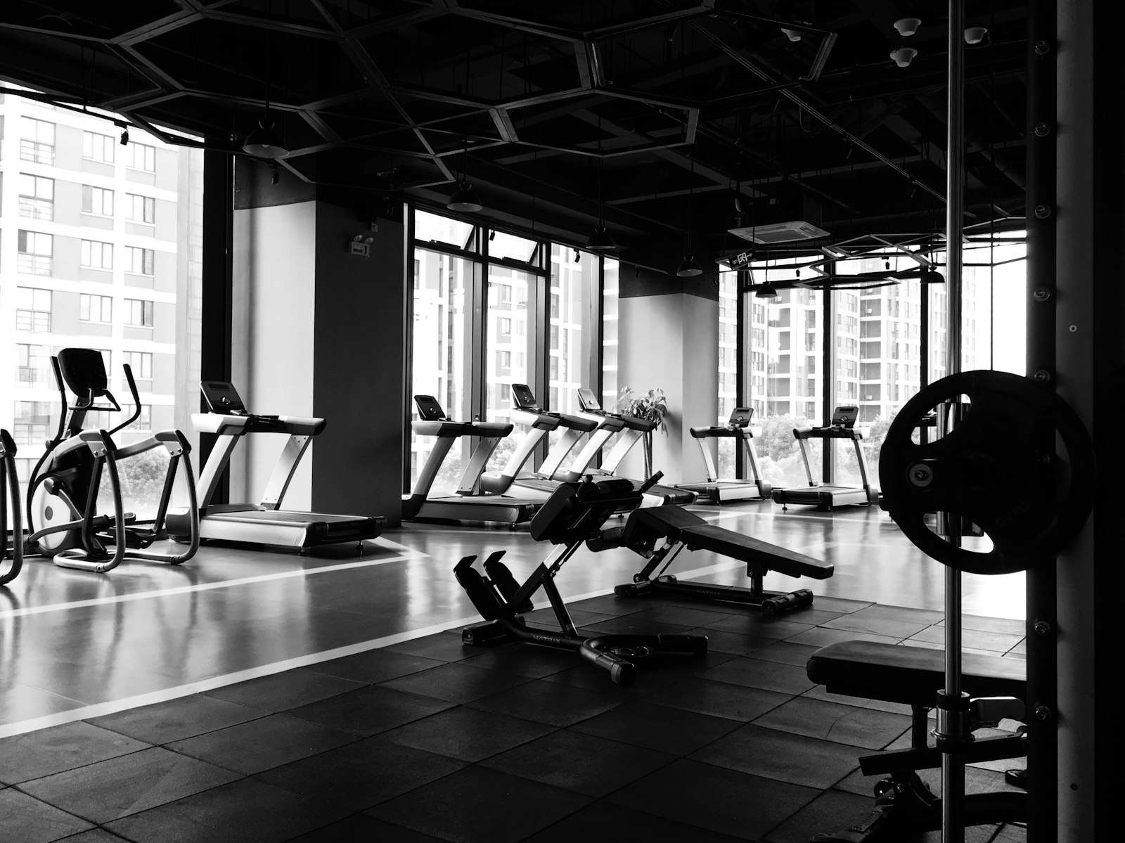 Intensives EMS- und Krafttraining im Studio